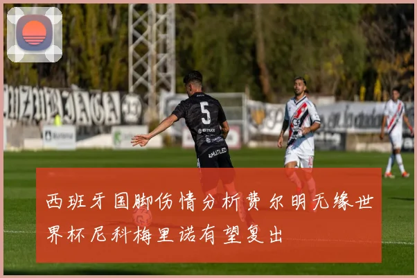 西班牙国脚伤情分析费尔明无缘世界杯尼科梅里诺有望复出