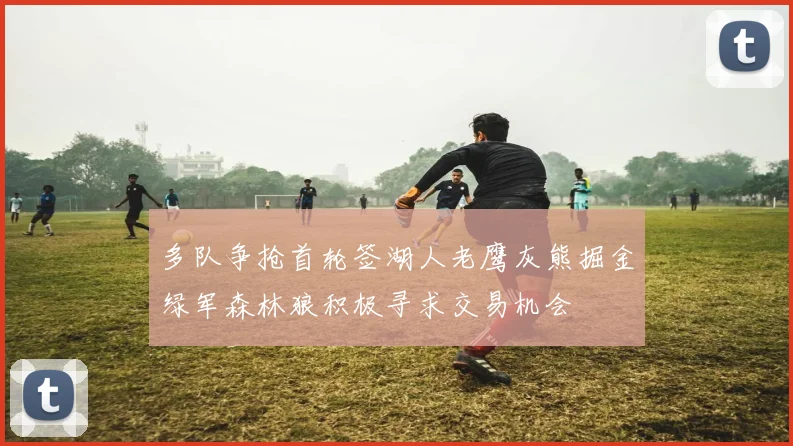 多队争抢首轮签湖人老鹰灰熊掘金绿军森林狼积极寻求交易机会